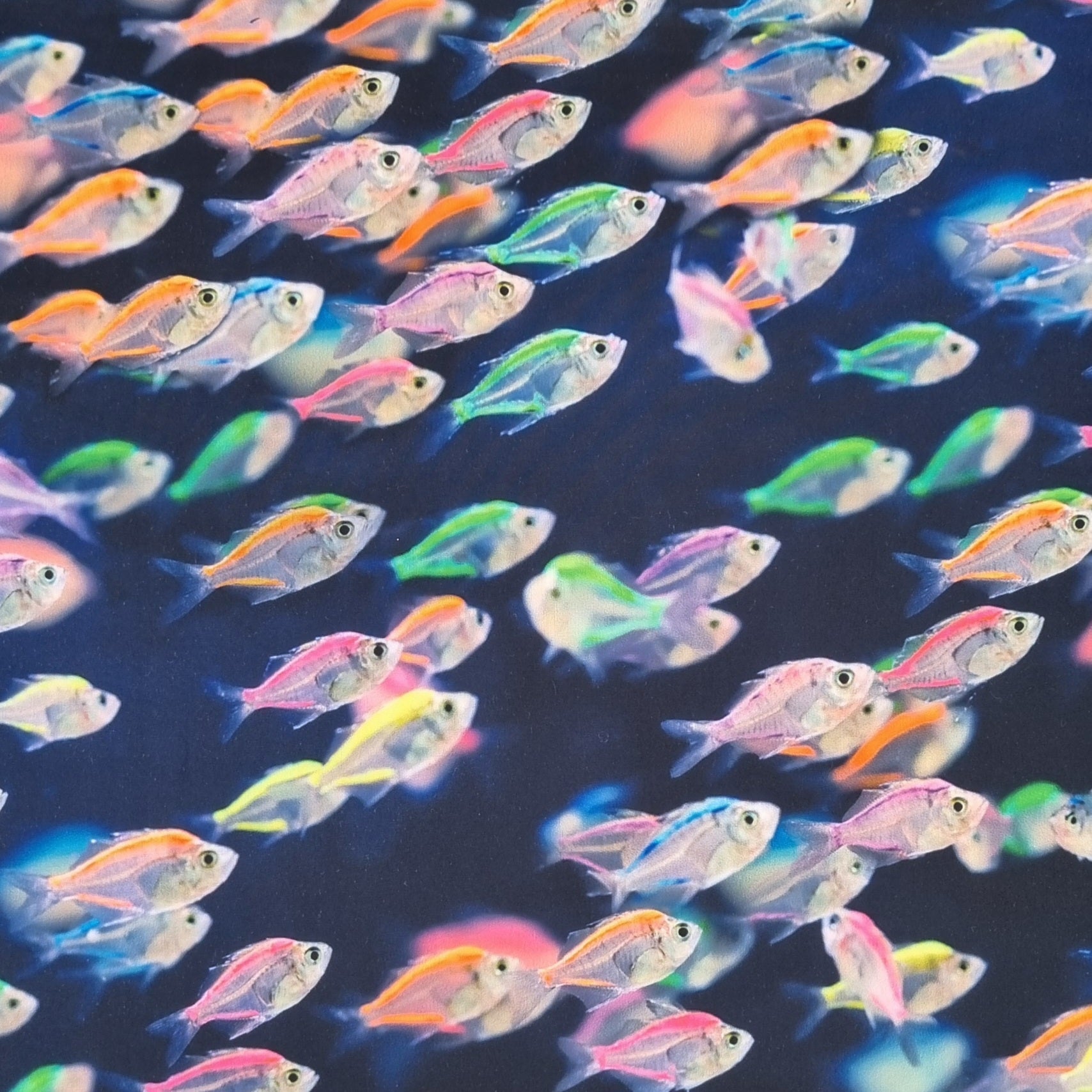 Badeanzugstoff bunte Fische Badeanzug, neu Malu Stoffhaus Malu - Stoffhaus