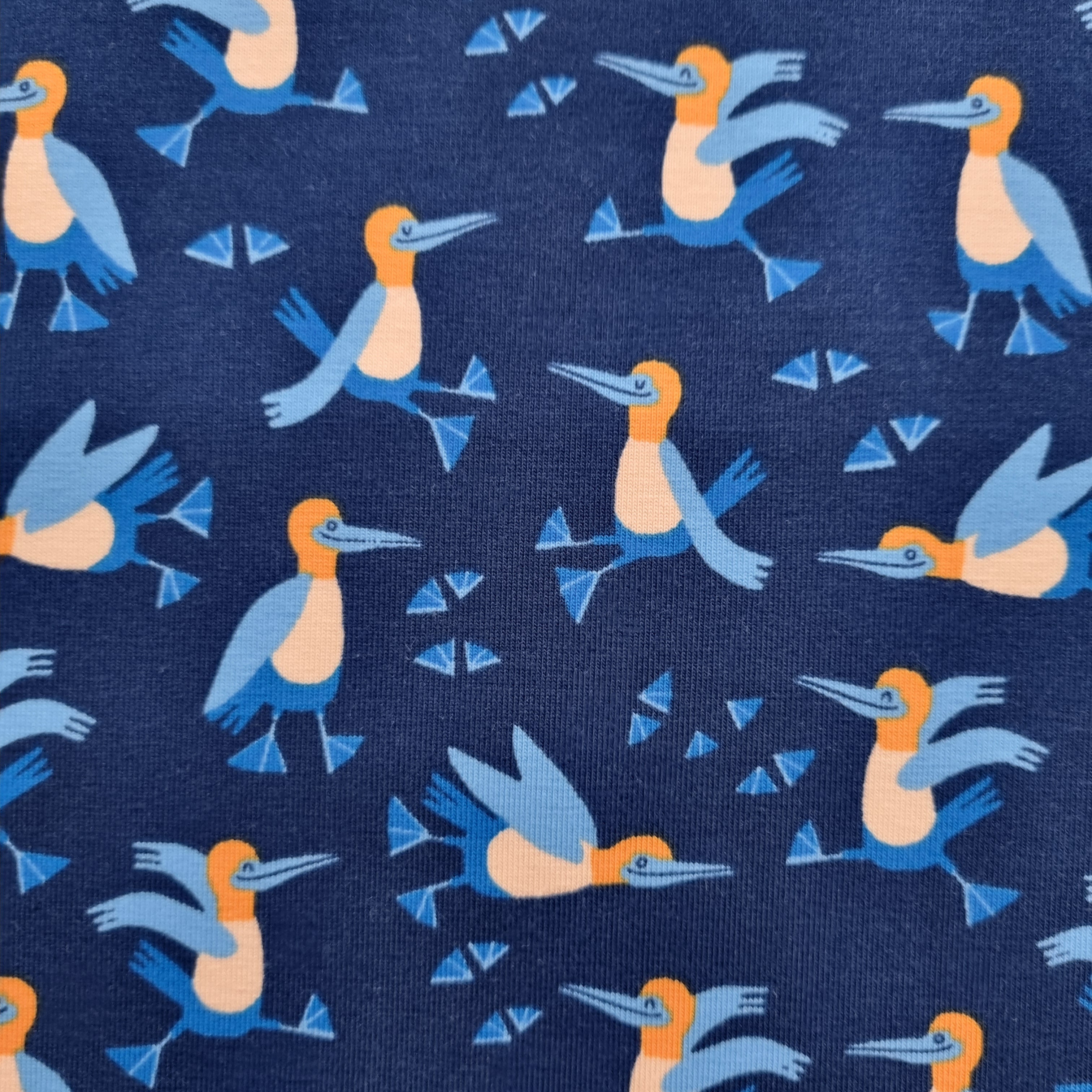 Blaufußtölpel Baumwolljersey Jersey Malu Stoffhaus Malu - Stoffhaus