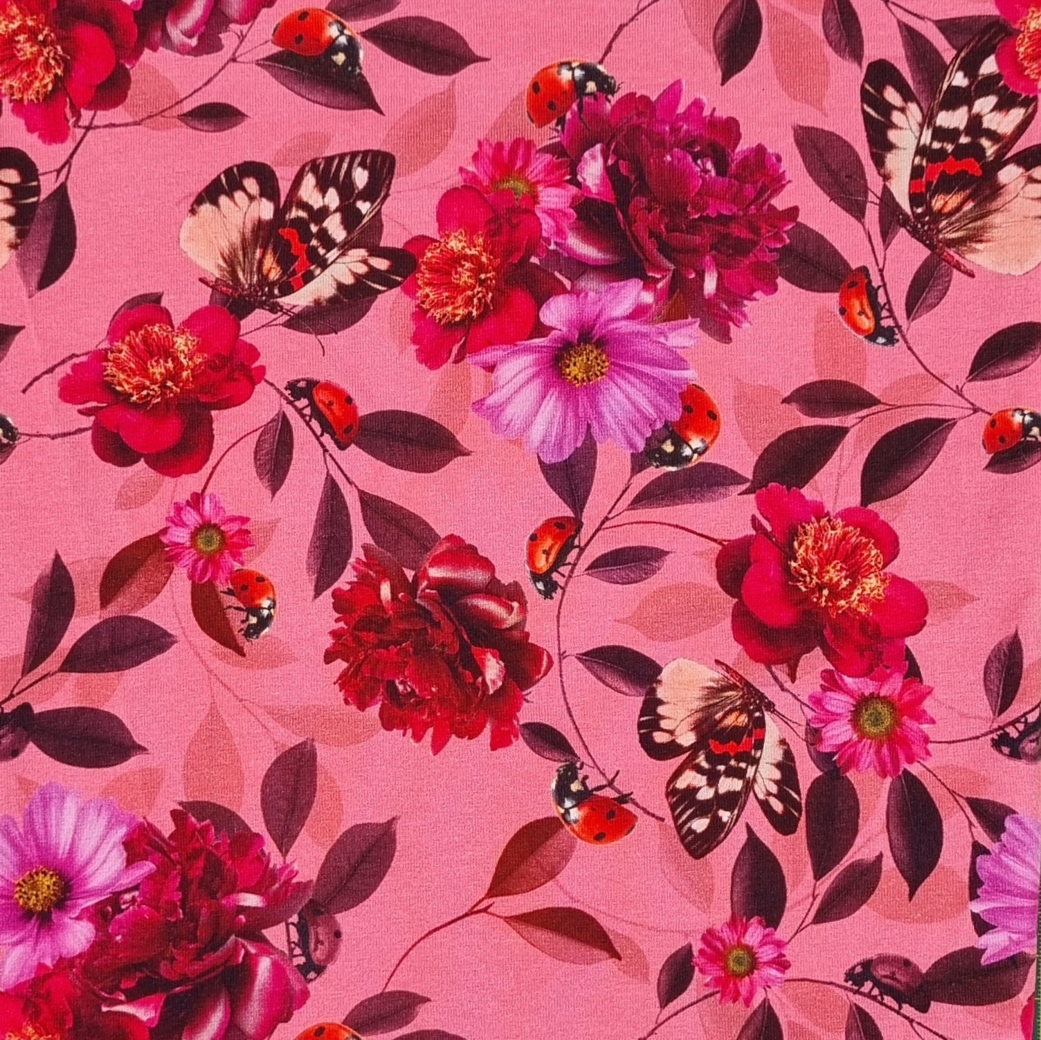 Blumen und Schmetterlinge Baumwolljersey Baumwolljersey, neu Malu Stoffhaus Malu - Stoffhaus