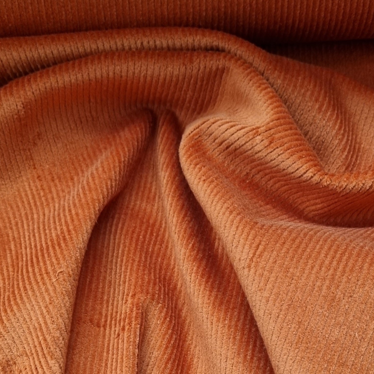 elastischer Breitcord viele Farben Cord Malu Stoffhaus - Nähschule - Atelier 13 orange Malu - Stoffhaus