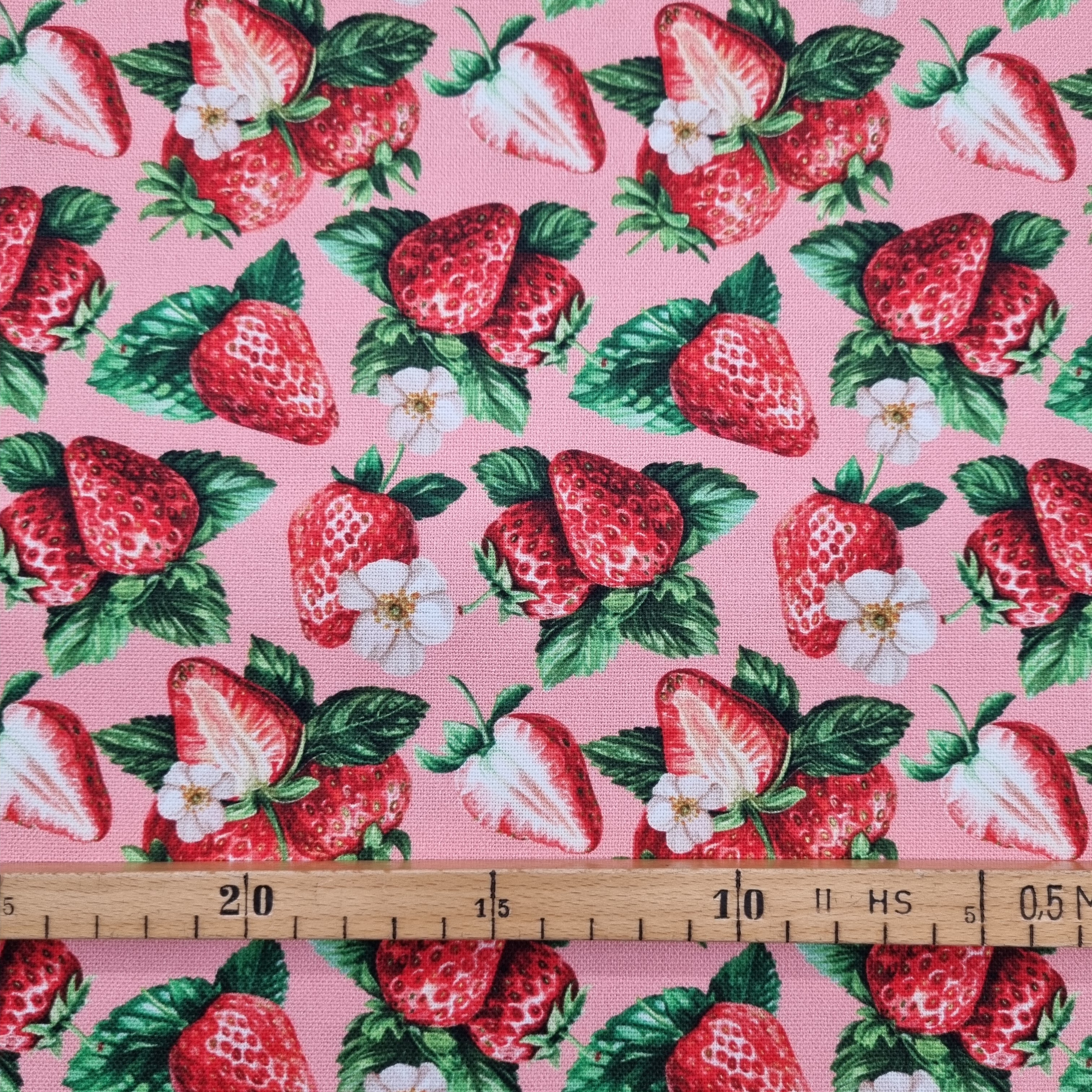 Erdbeeren Canvasdruck Canvas Swafing Malu - Stoffhaus