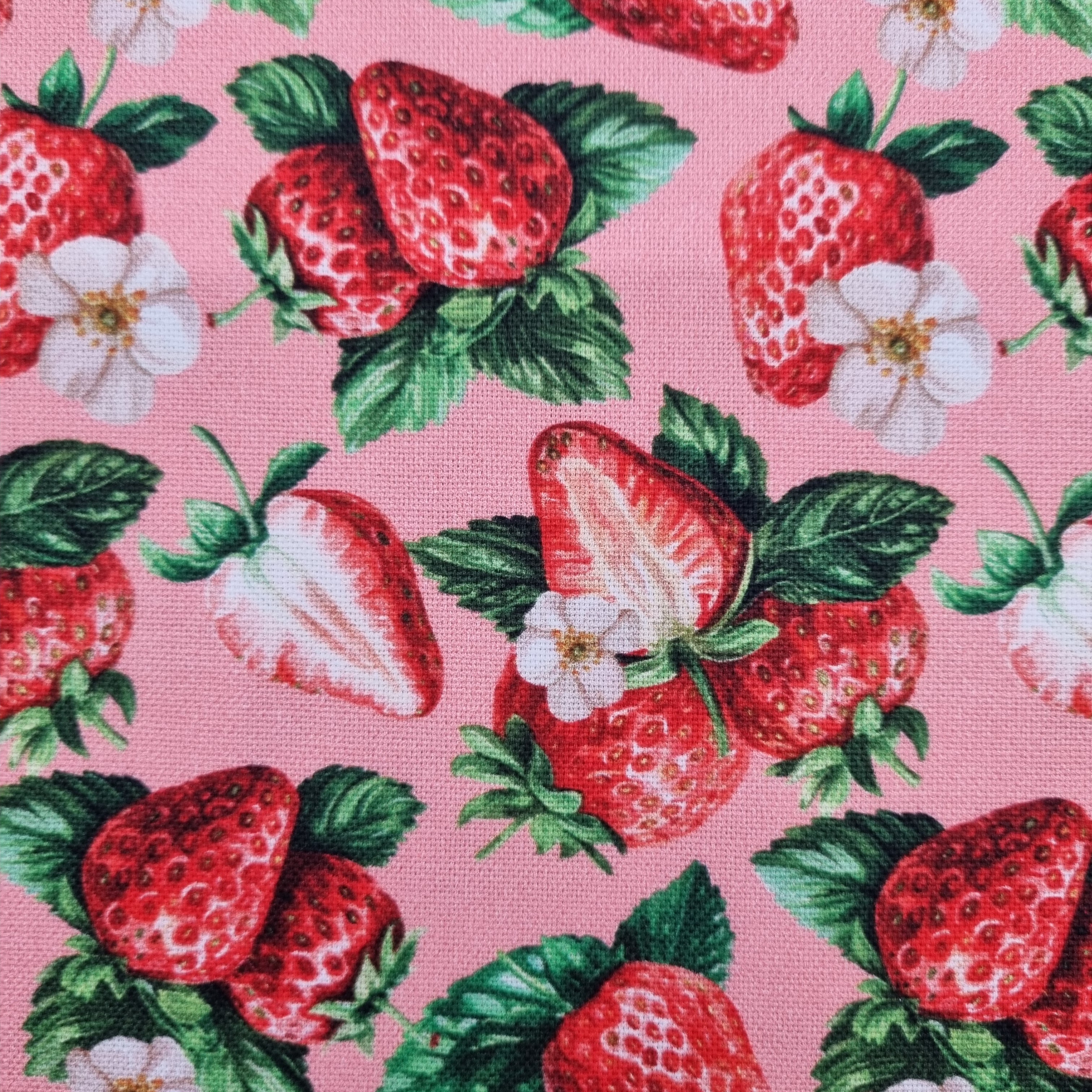 Erdbeeren Canvasdruck Canvas Swafing Malu - Stoffhaus