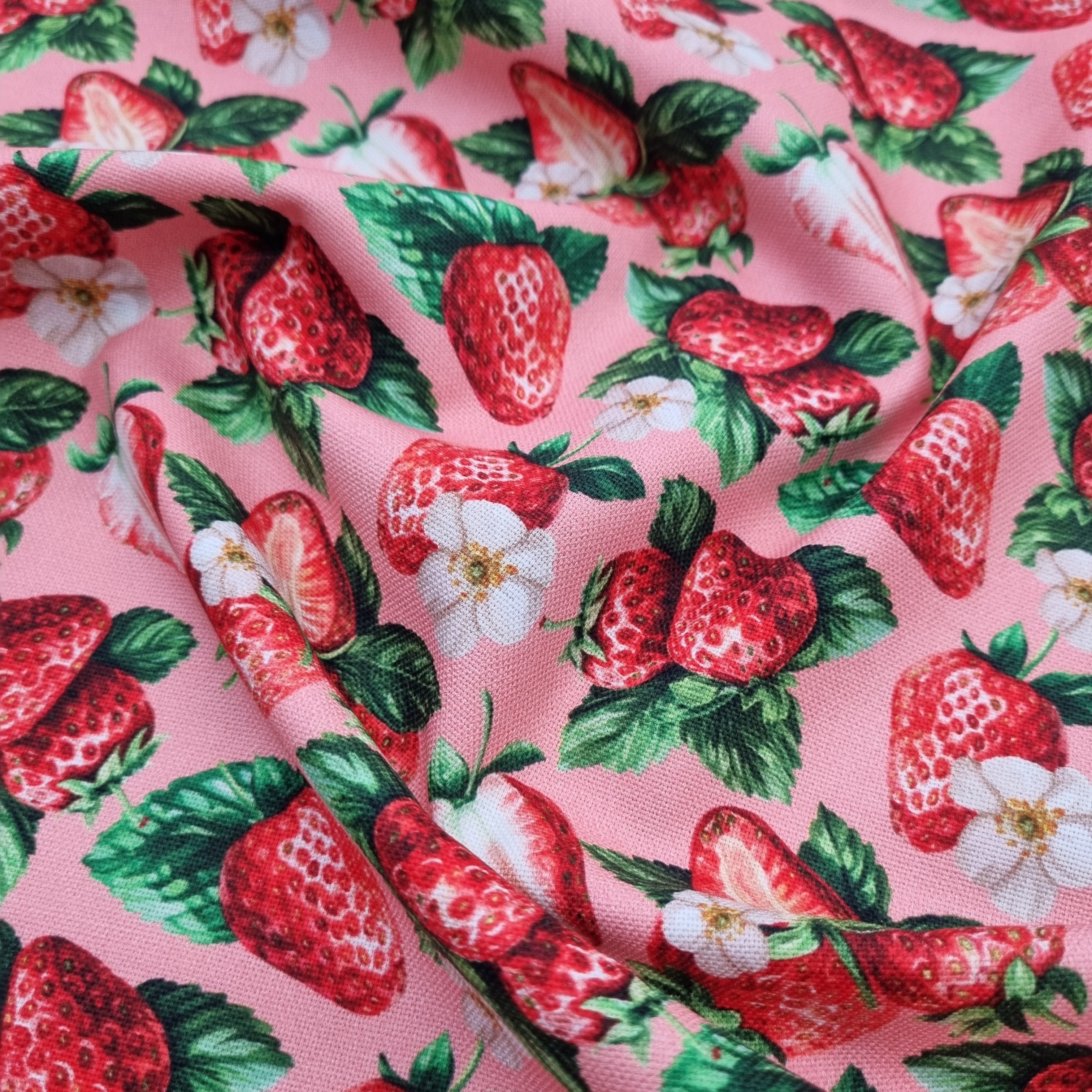 Erdbeeren Canvasdruck Canvas Swafing Malu - Stoffhaus