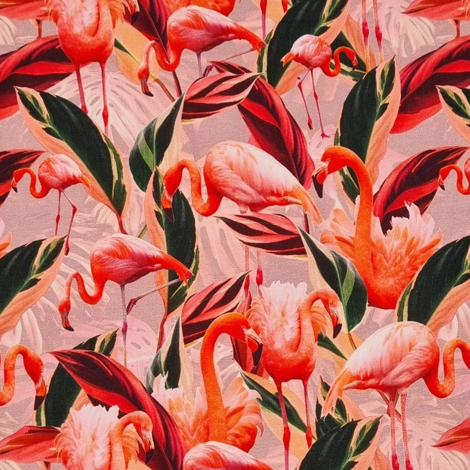 Flamingo Baumwolljersey Baumwolljersey, neu Malu Stoffhaus Malu - Stoffhaus