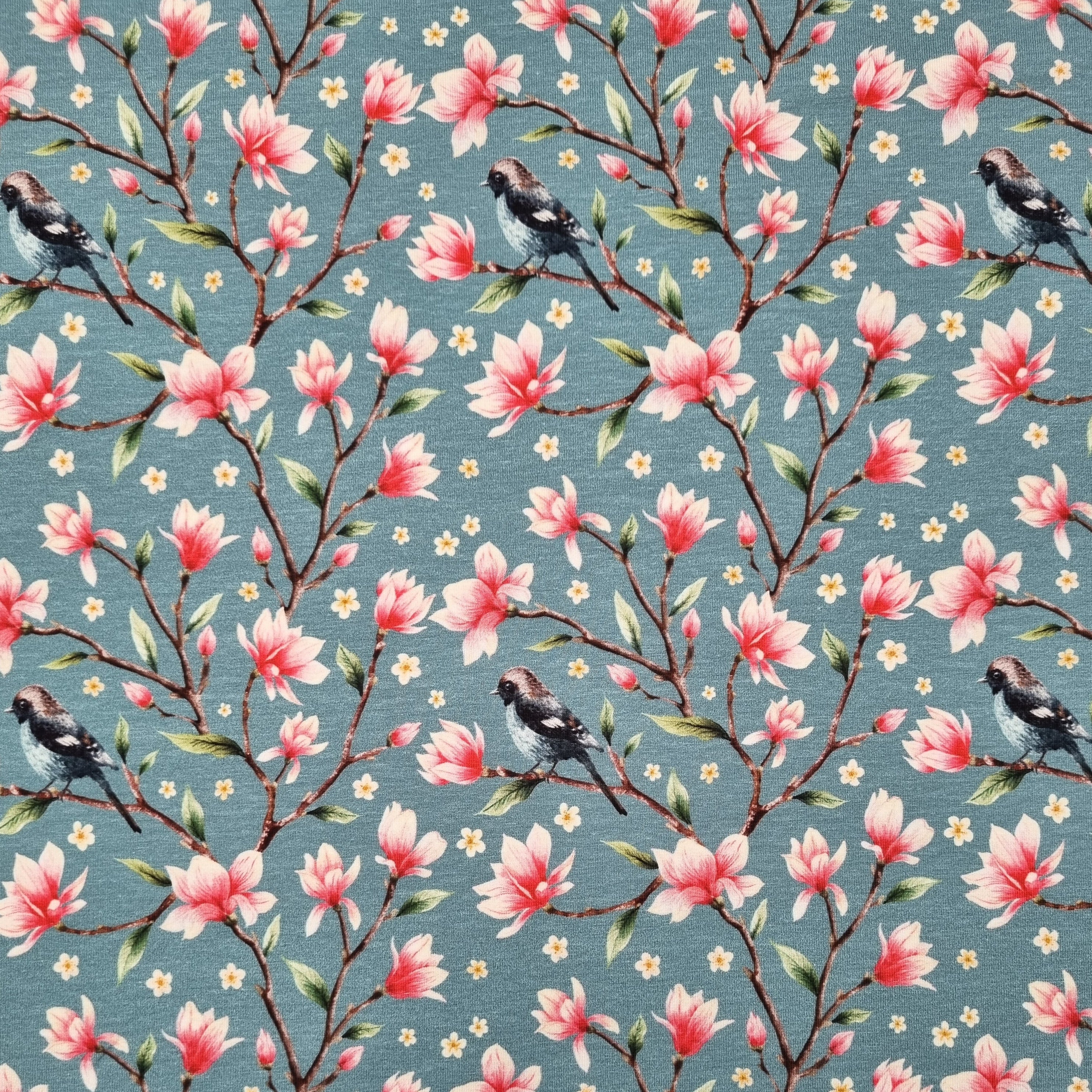 Kleine Vögel in Magnolienzweigen jersey, neu Malu Stoffhaus Malu - Stoffhaus