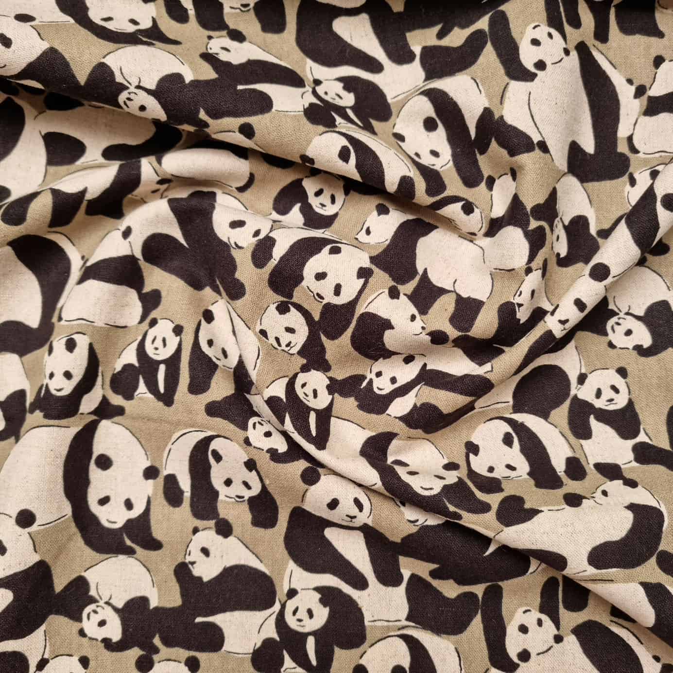 Pandabären auf Canvas Canvas Sevenberry Malu - Stoffhaus