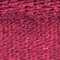 Paspelband elastisch Veno Bänder Veno pink 786 Malu - Stoffhaus