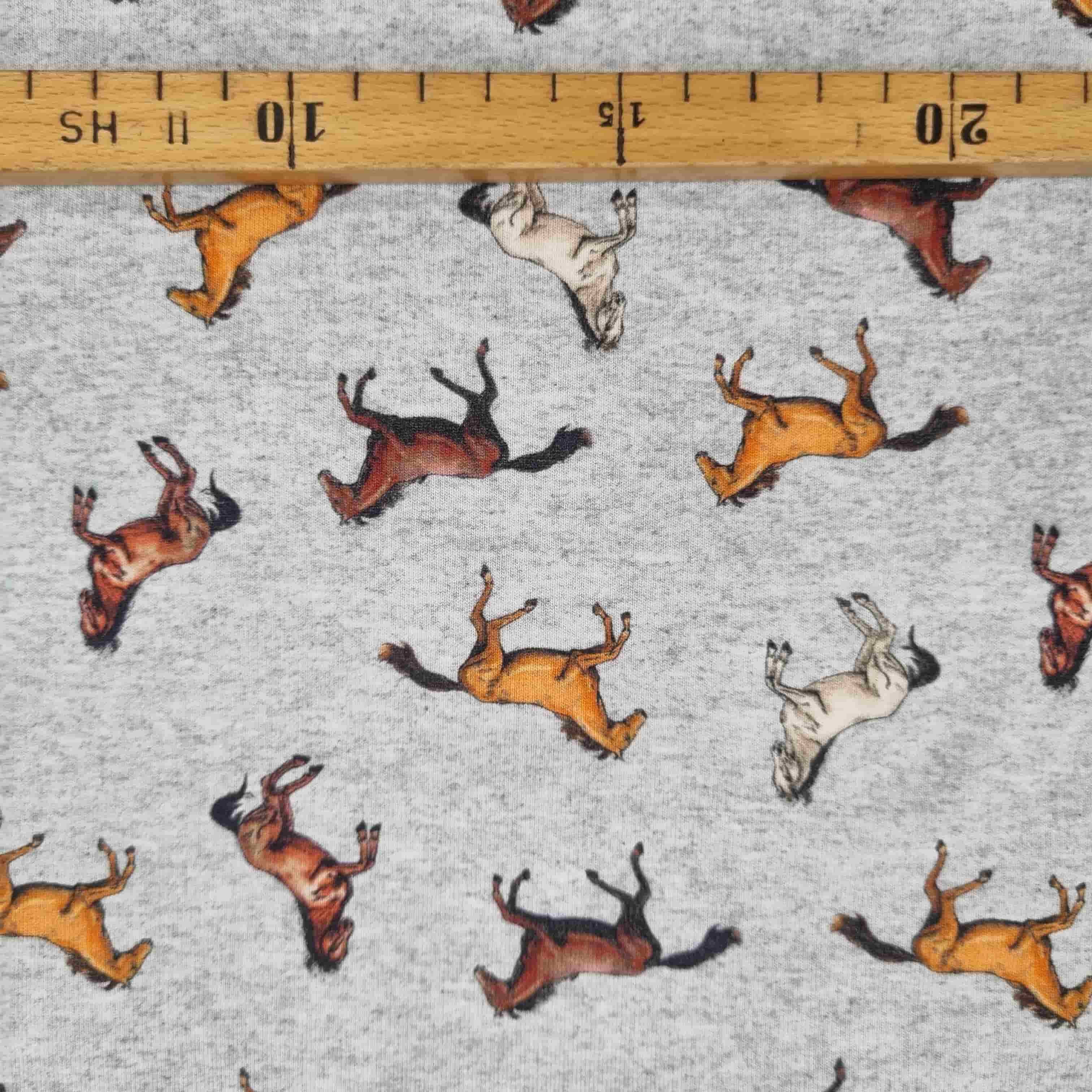 Pferde Baumwollsweat Sweat Malu Stoffhaus Malu - Stoffhaus