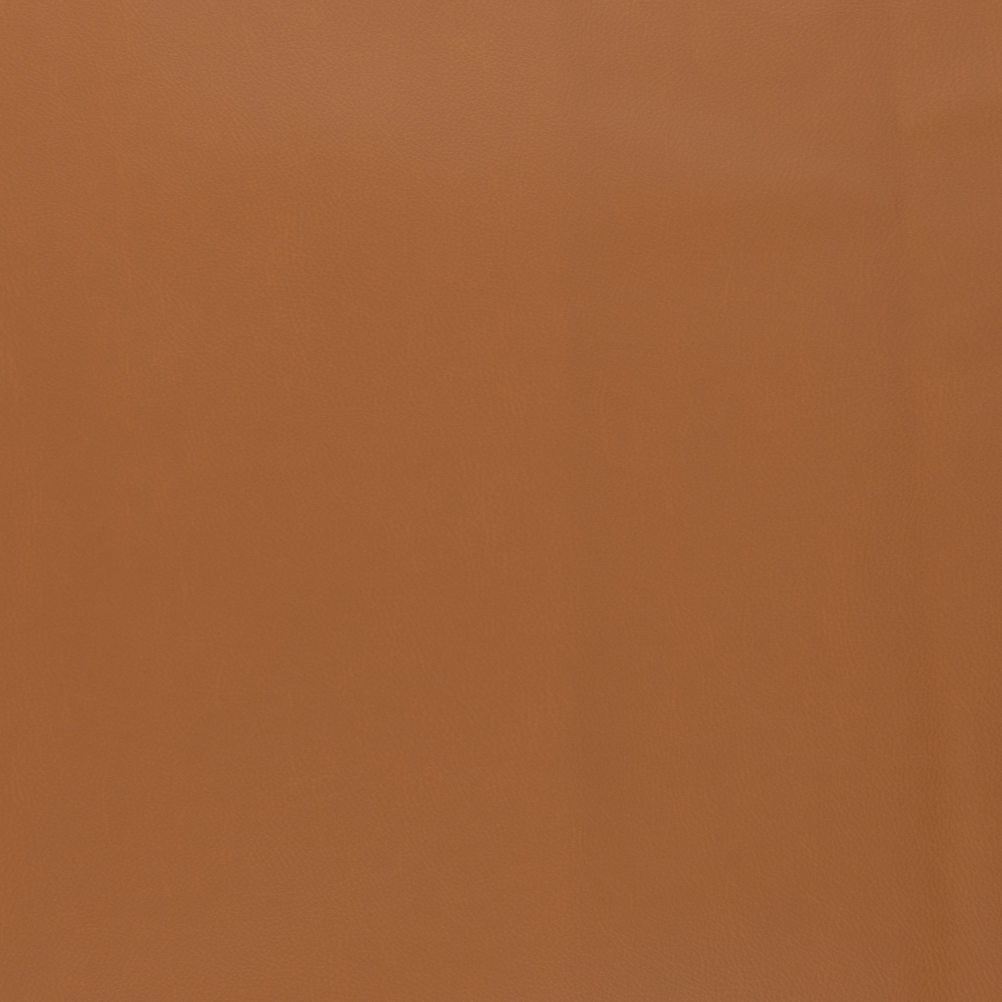 Rex Kunstleder div. Farben Kunstleder Malu Stoffhaus - Nähschule - Atelier ocker 314 Malu - Stoffhaus