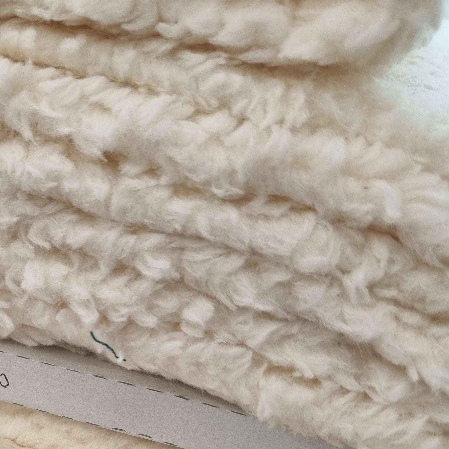 Teddyplüsch Baumwolle Sweat Malu Stoffhaus Malu - Stoffhaus