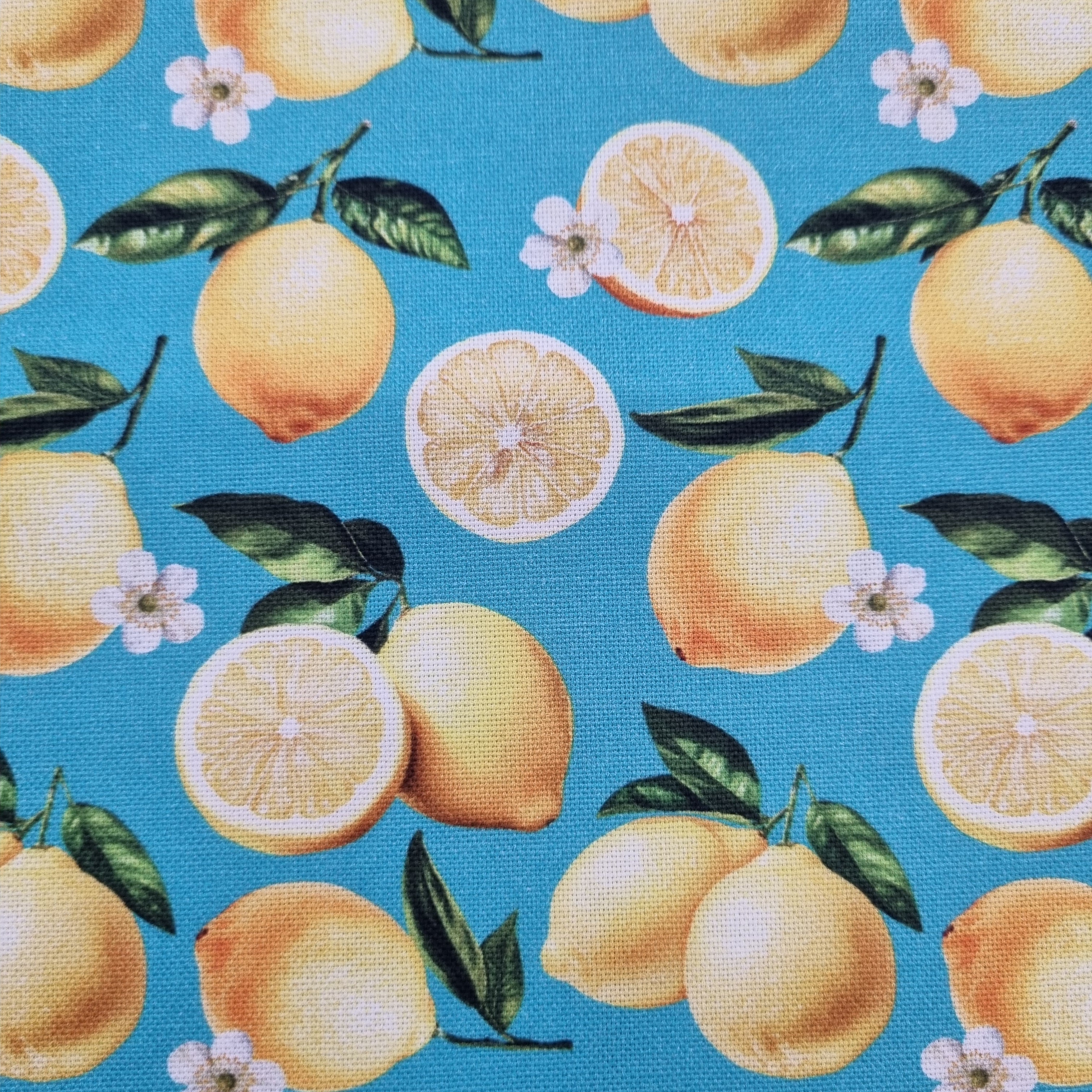 Zitronen Canvasdruck Canvas Swafing Malu - Stoffhaus