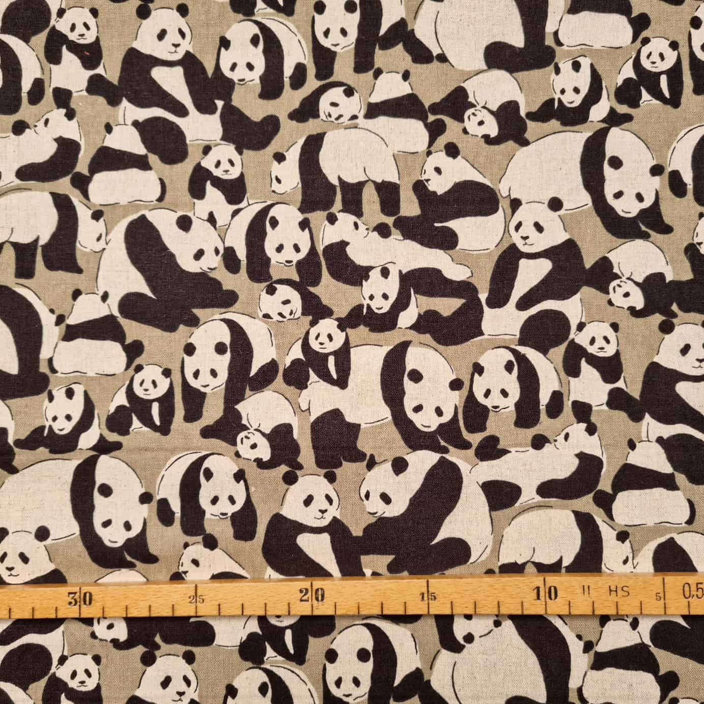 Pandabären auf Canvas