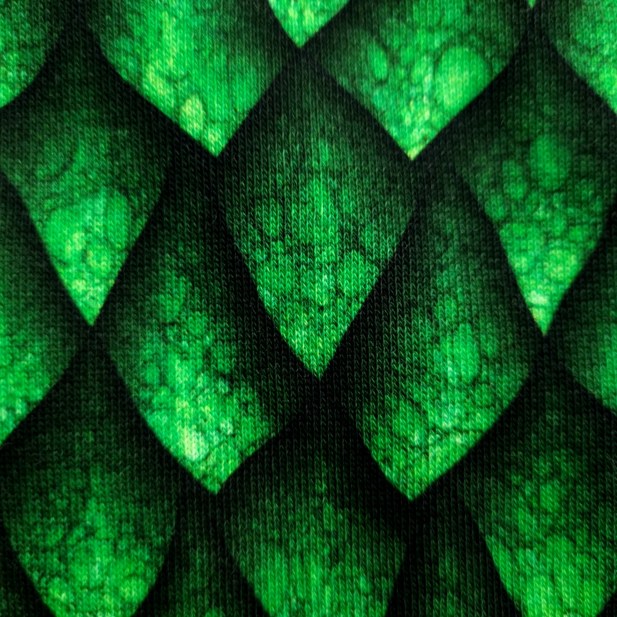 echte Drachenschuppen auf Kuschelsweat