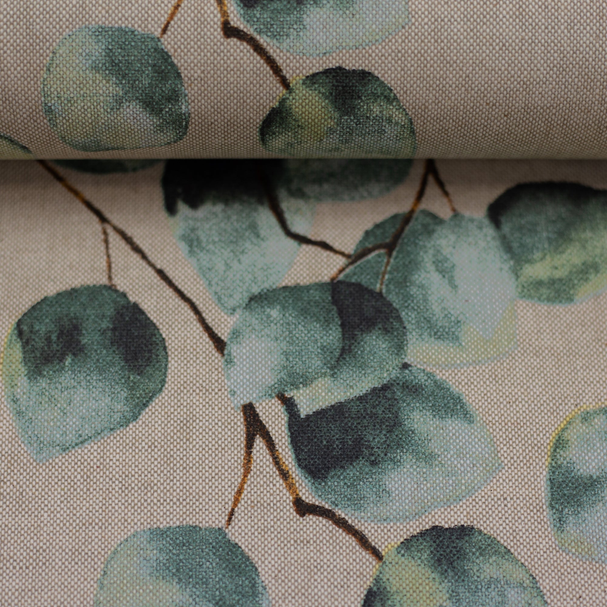 Eucalyptusblätter beschichtete Baumwolle beschichtet Malu Stoffhaus Malu - Stoffhaus