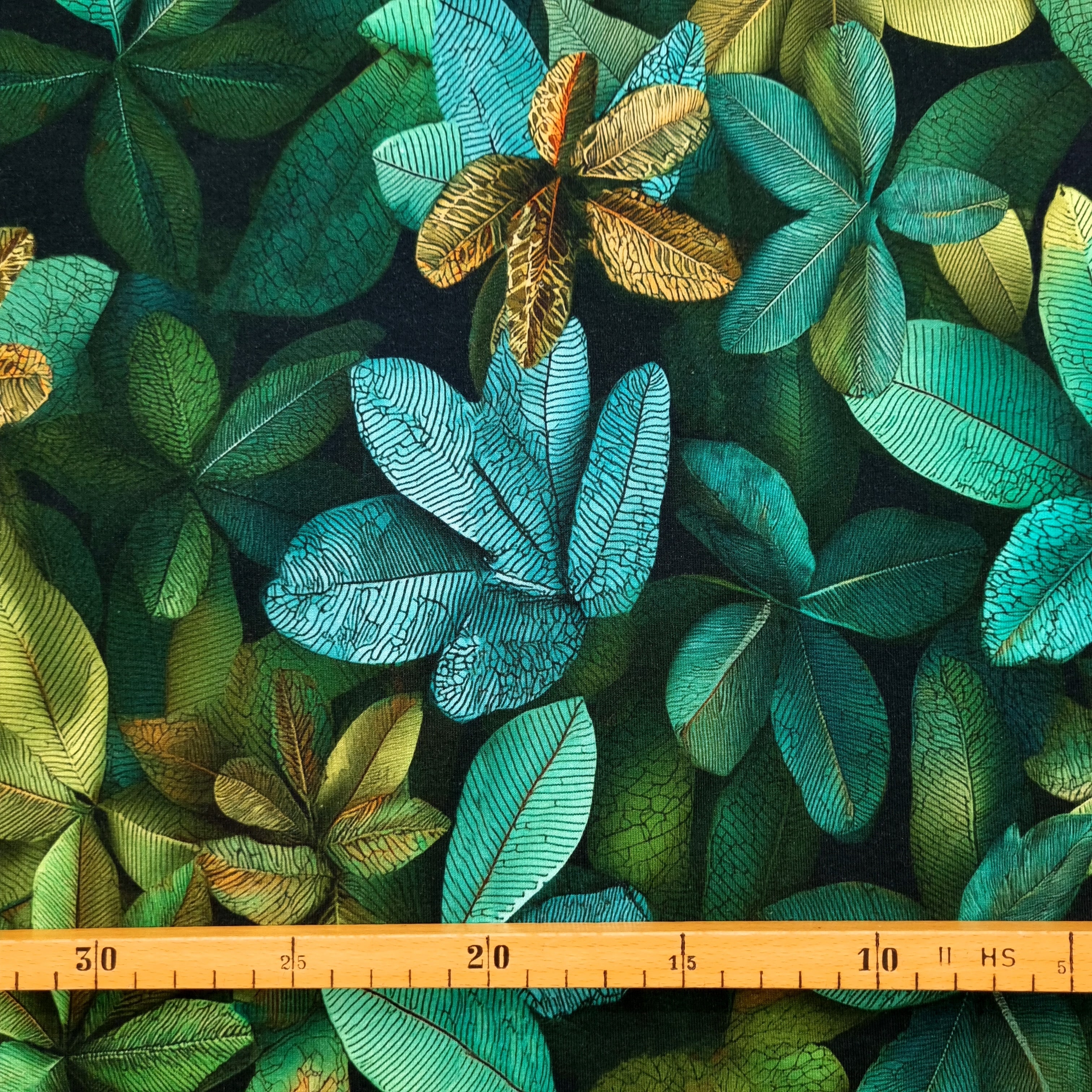 große grüne Blätter auf Sweat Sweat, neu Hemmers Itex Malu - Stoffhaus