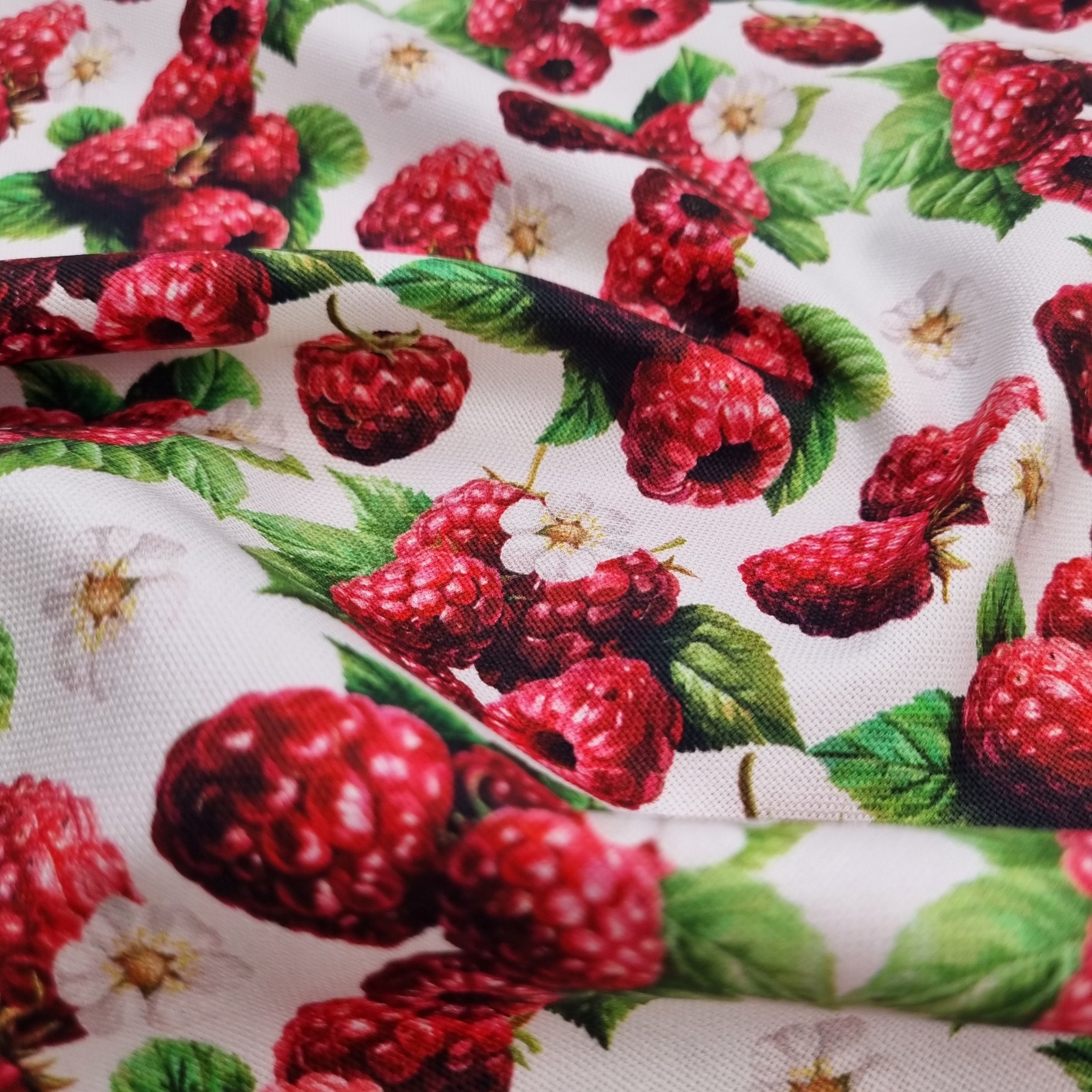 Himbeeren Canvasdruck Canvas Swafing Malu - Stoffhaus