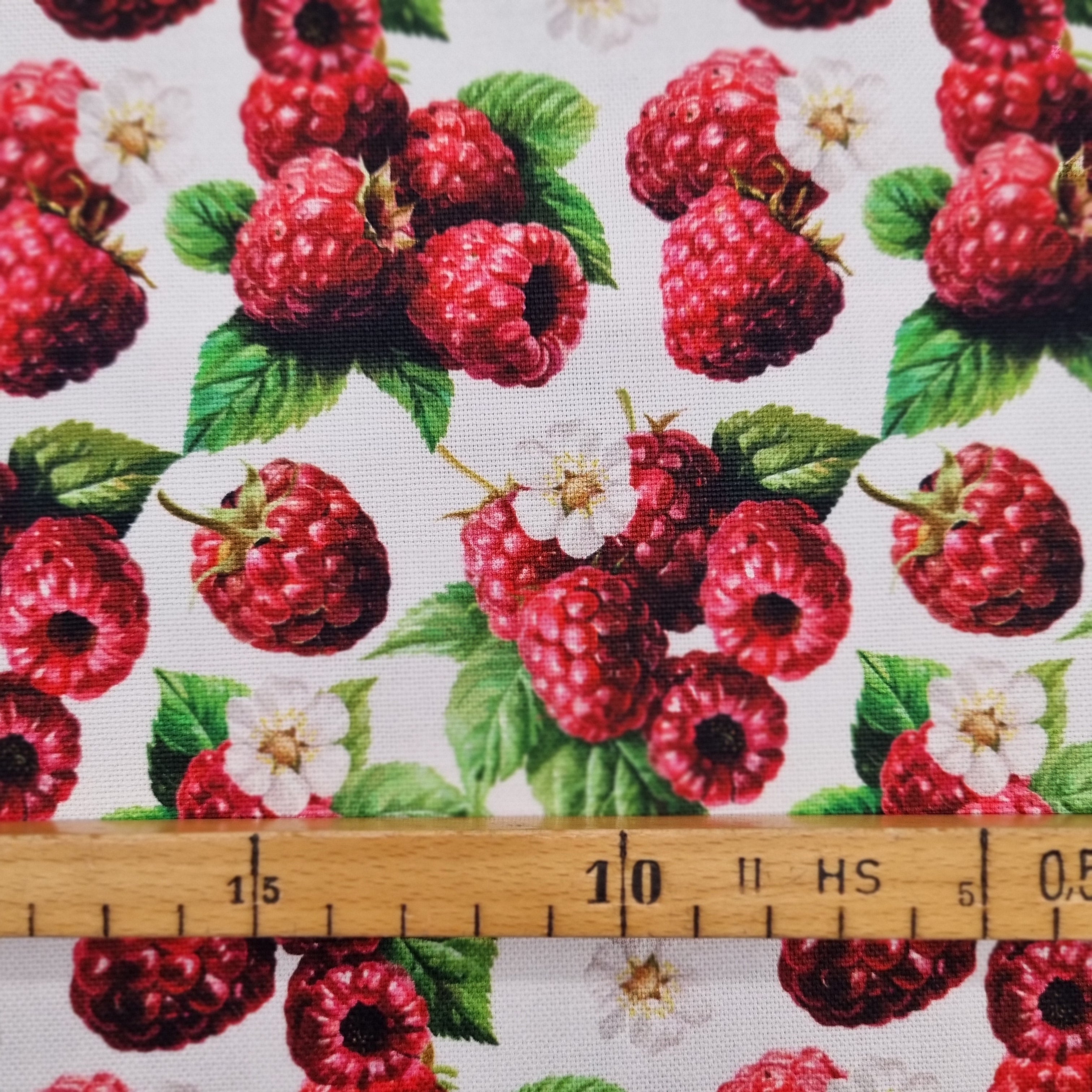 Himbeeren Canvasdruck Canvas Swafing Malu - Stoffhaus