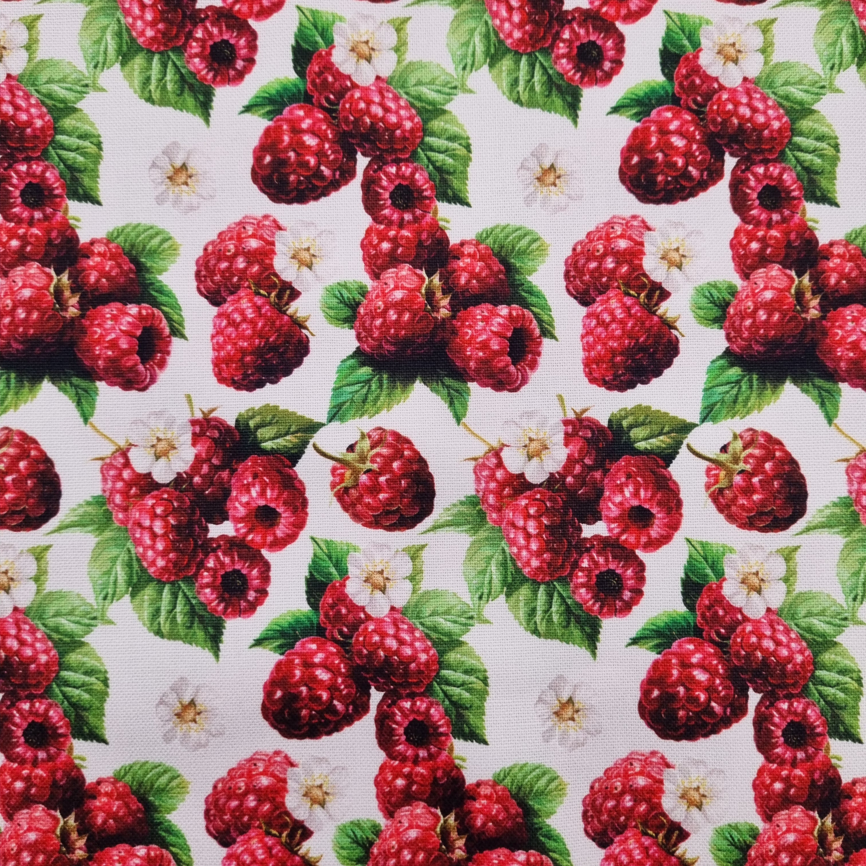 Himbeeren Canvasdruck Canvas Swafing Malu - Stoffhaus