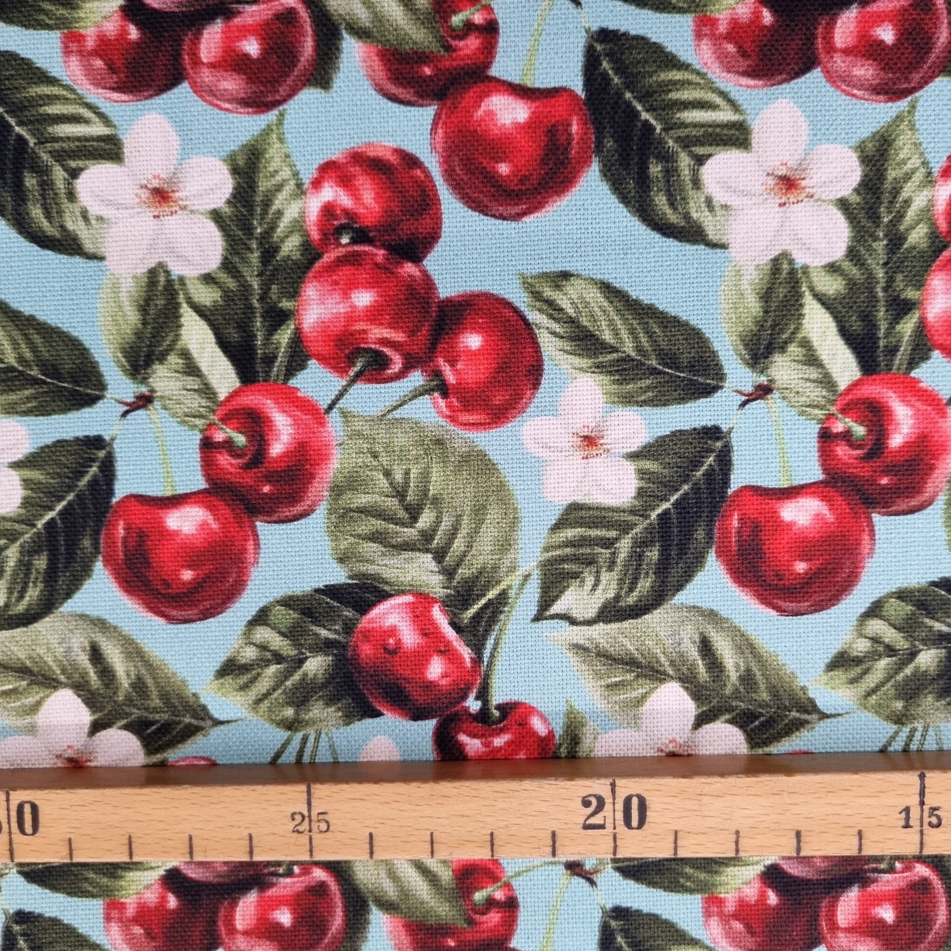 Kirschen Canvasdruck Canvas Swafing Malu - Stoffhaus