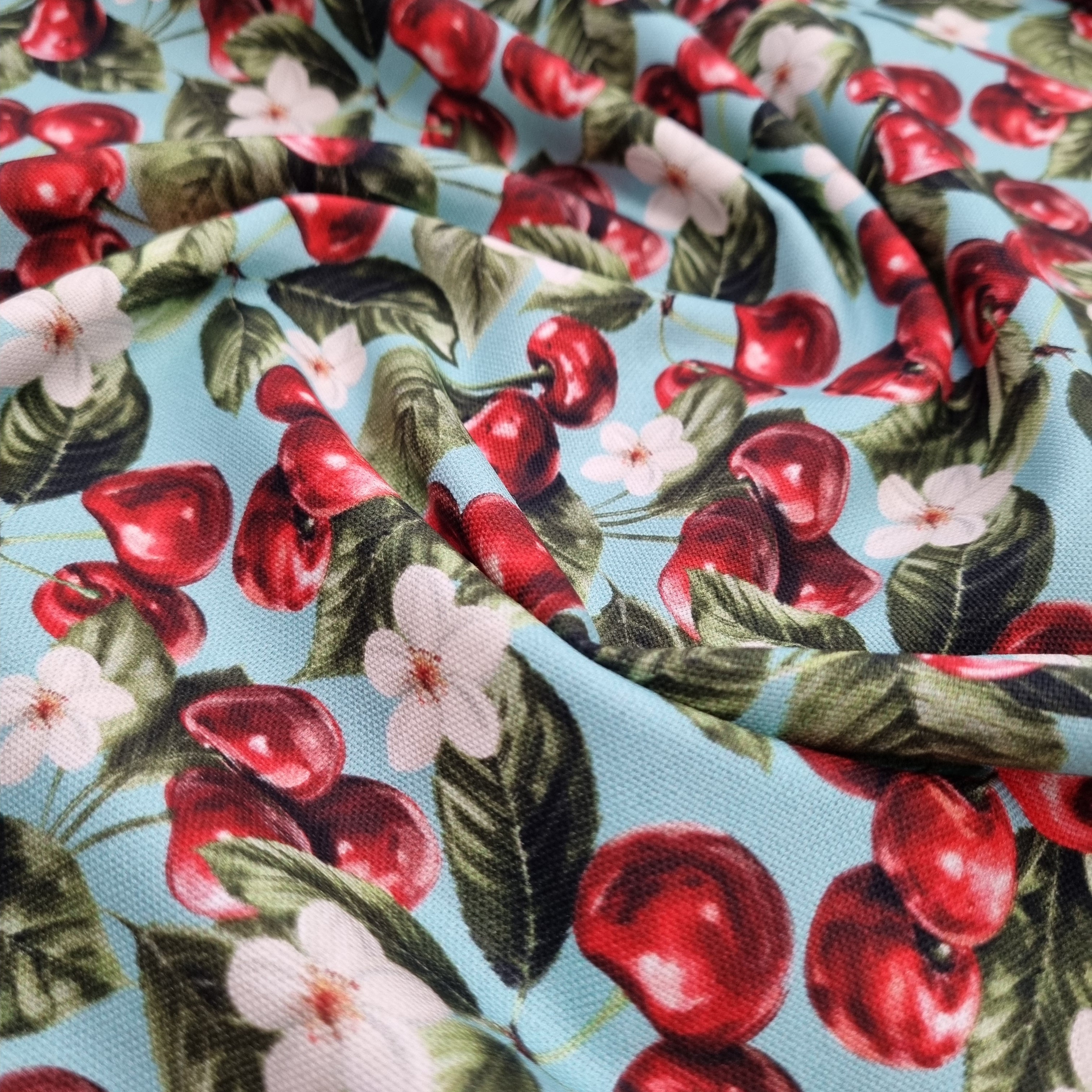 Kirschen Canvasdruck Canvas Swafing Malu - Stoffhaus