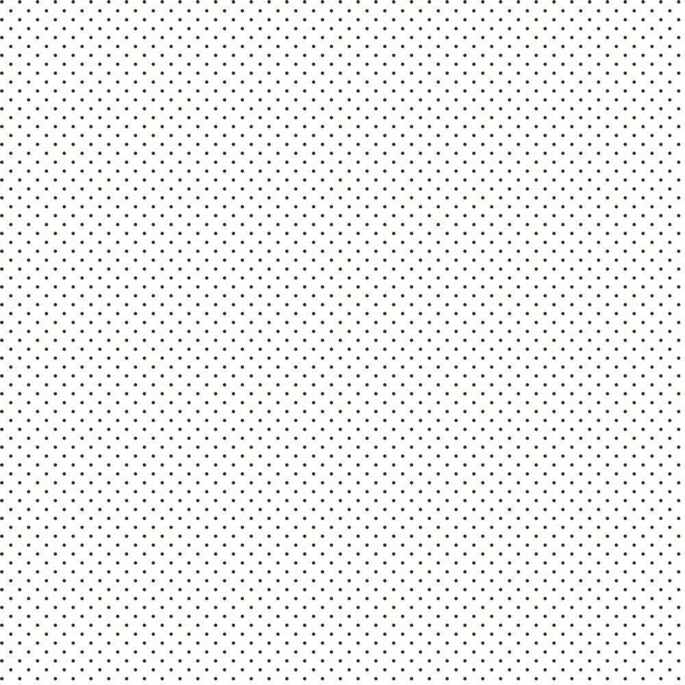 Minipünktchen beschichtete Baumwolle viele Farben beschichtet Malu Stoffhaus weiß/navy 102 Malu - Stoffhaus