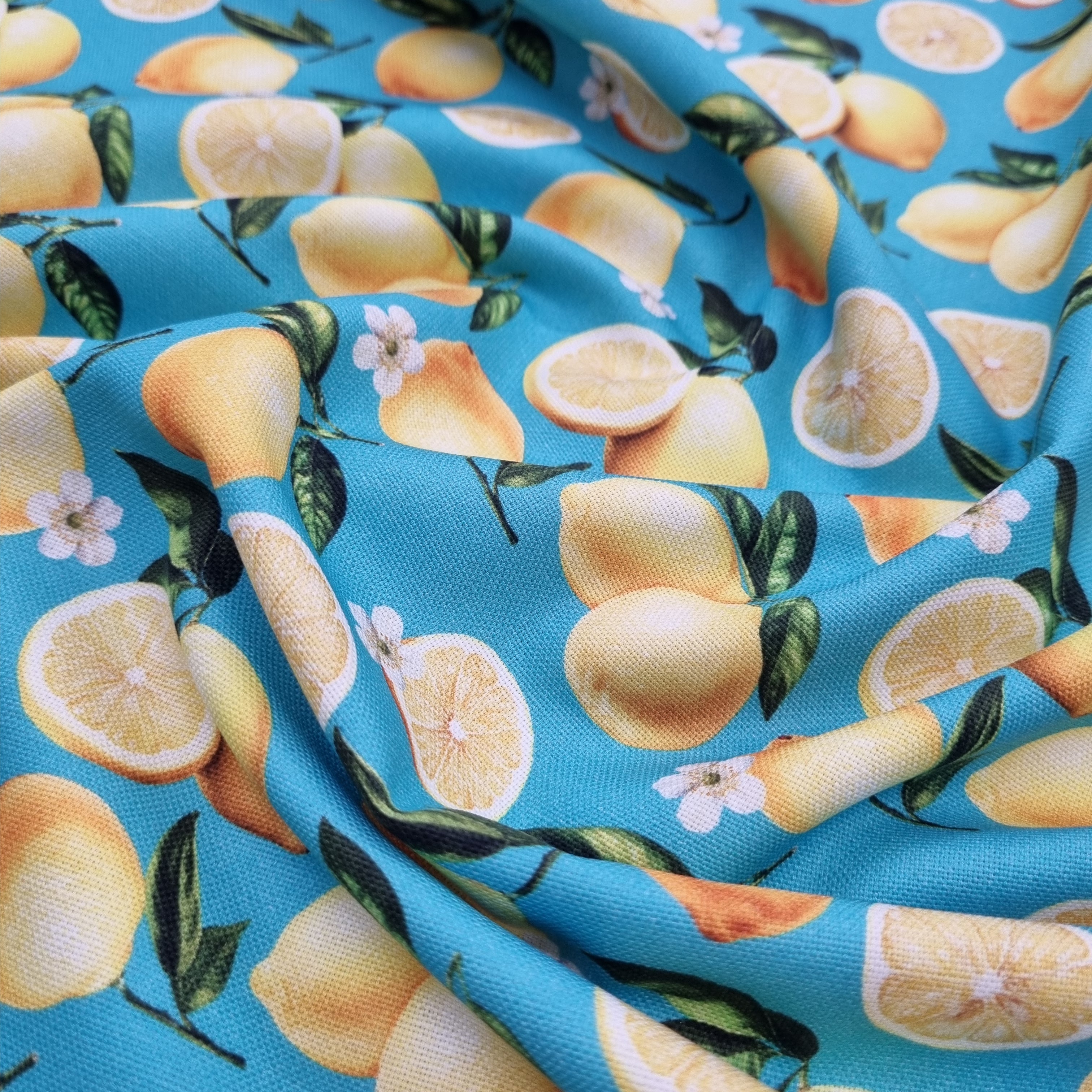 Zitronen Canvasdruck Canvas Swafing Malu - Stoffhaus