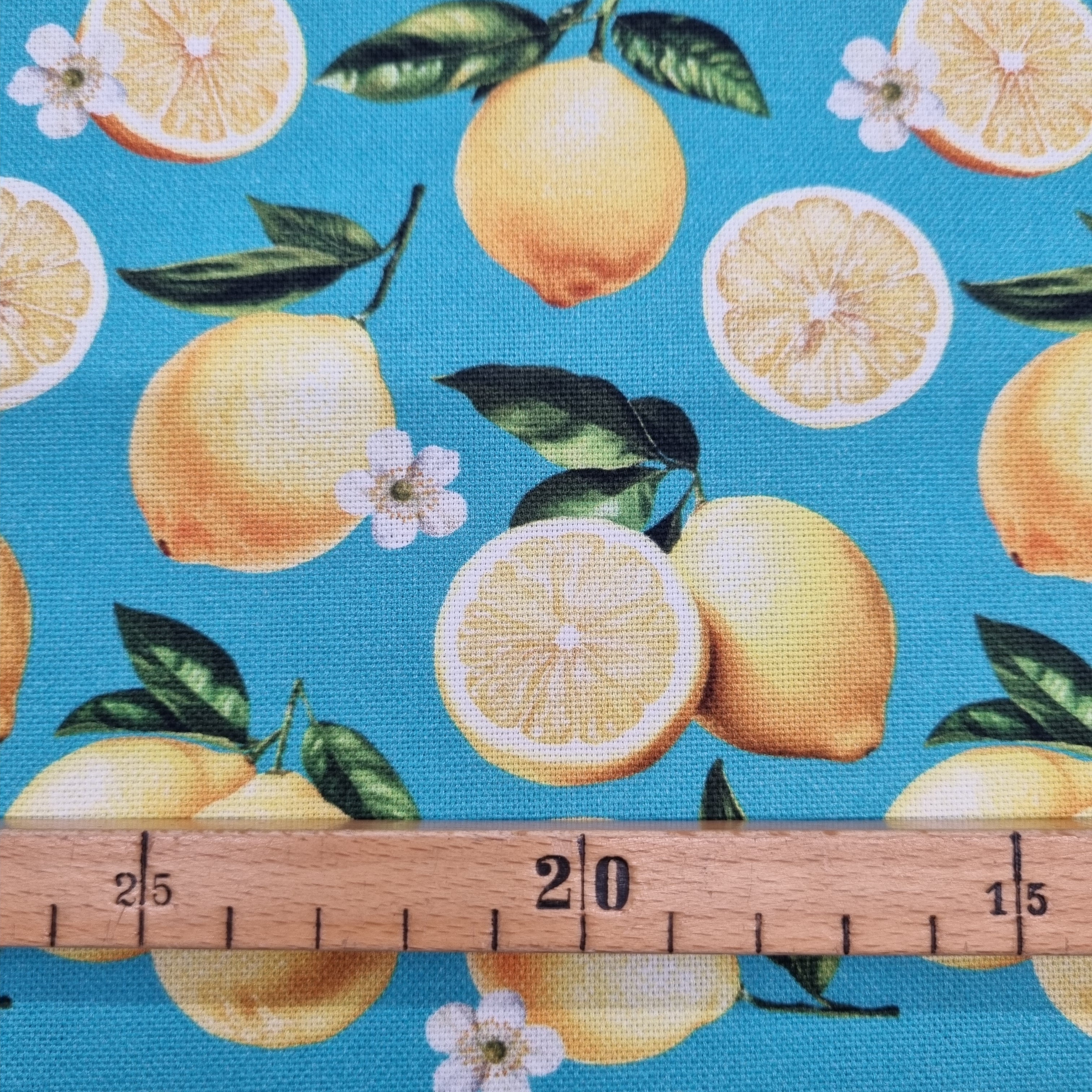 Zitronen Canvasdruck Canvas Swafing Malu - Stoffhaus